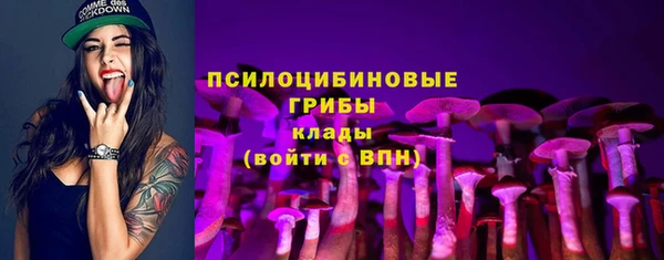 твердый Кинешма