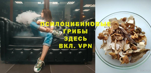 твердый Кинешма